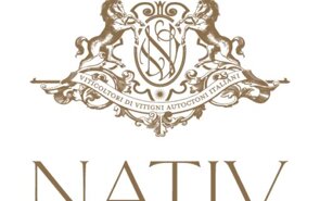 whatsapp image 2025-10-17 at 17 whatsapp image 2025-10-17 at 17